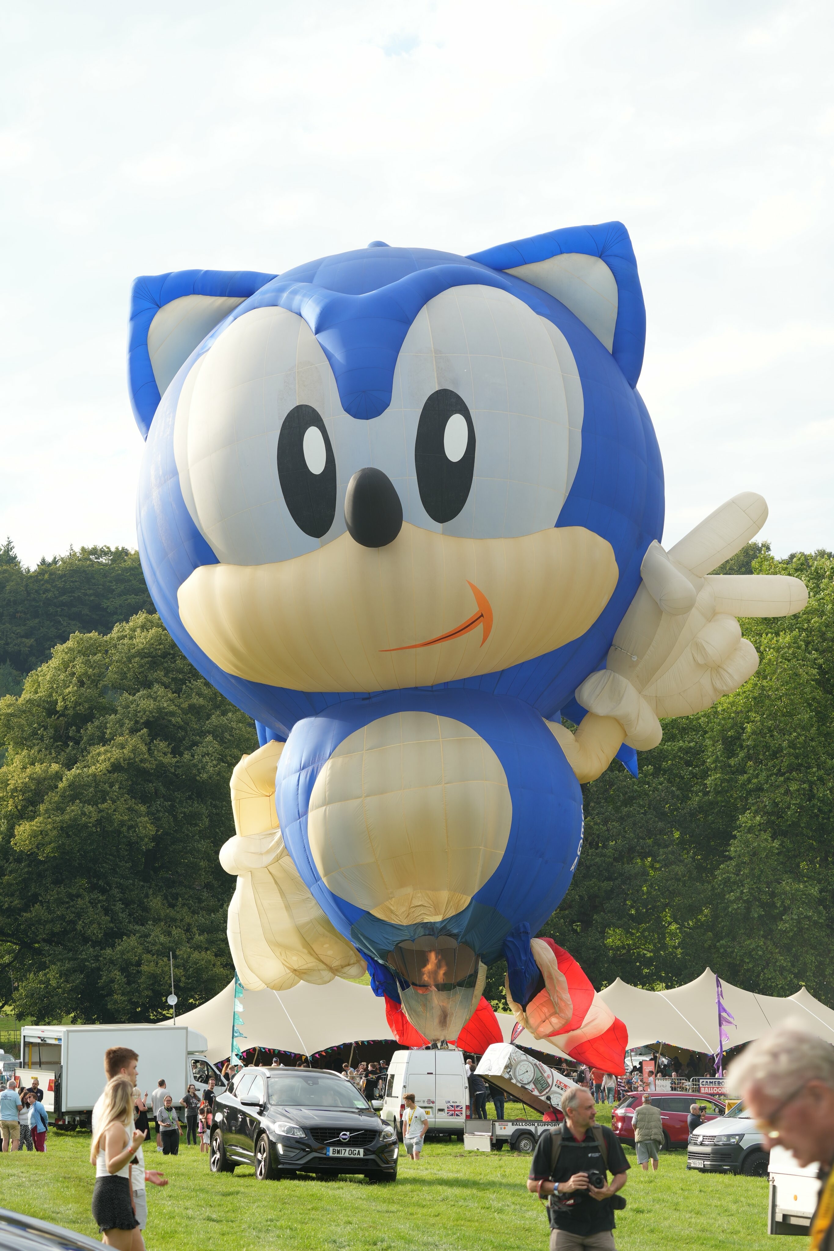 Sonic The Hedgehog - This summer's hottest music festival!