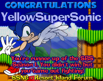 Sonic Battle Stadium Runner-Up Award - YellowSuperSonic (2002)