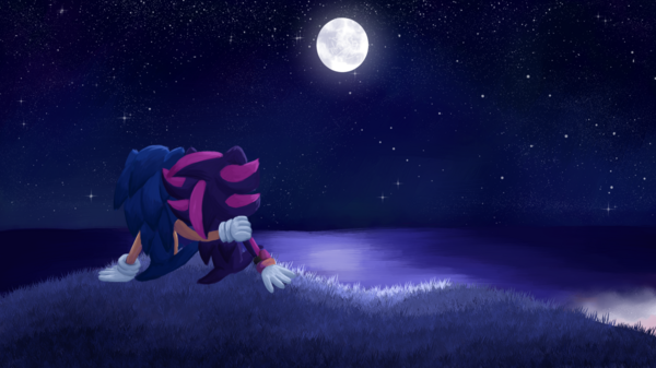 Sonic and Shadow Stargazing